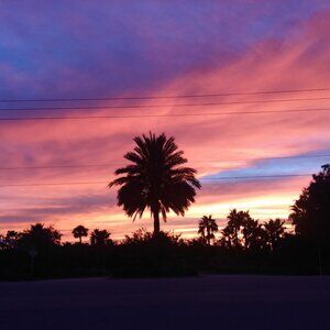 Meet your Posher, Laureen